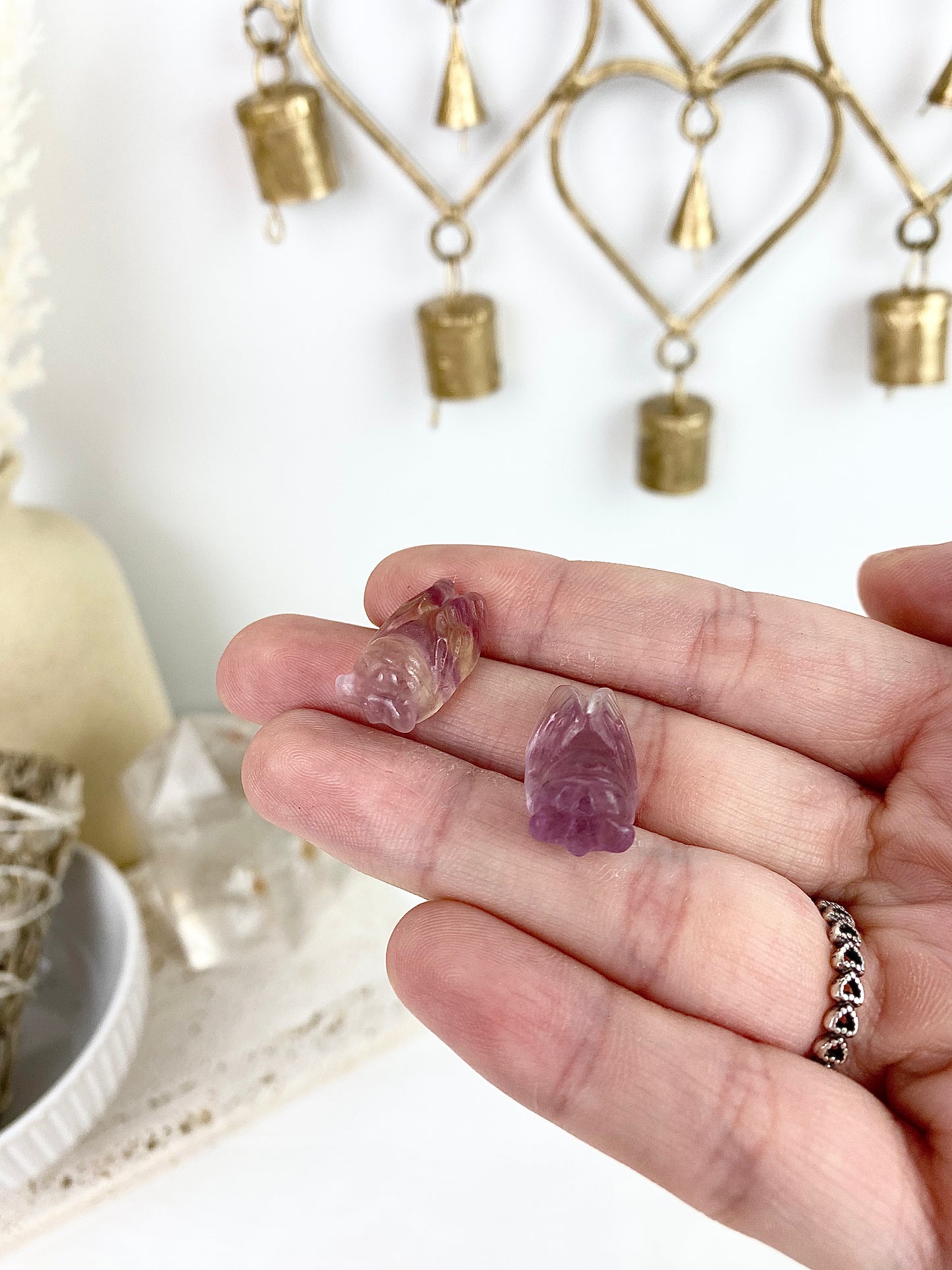 Mini Fluorite Ciadas's