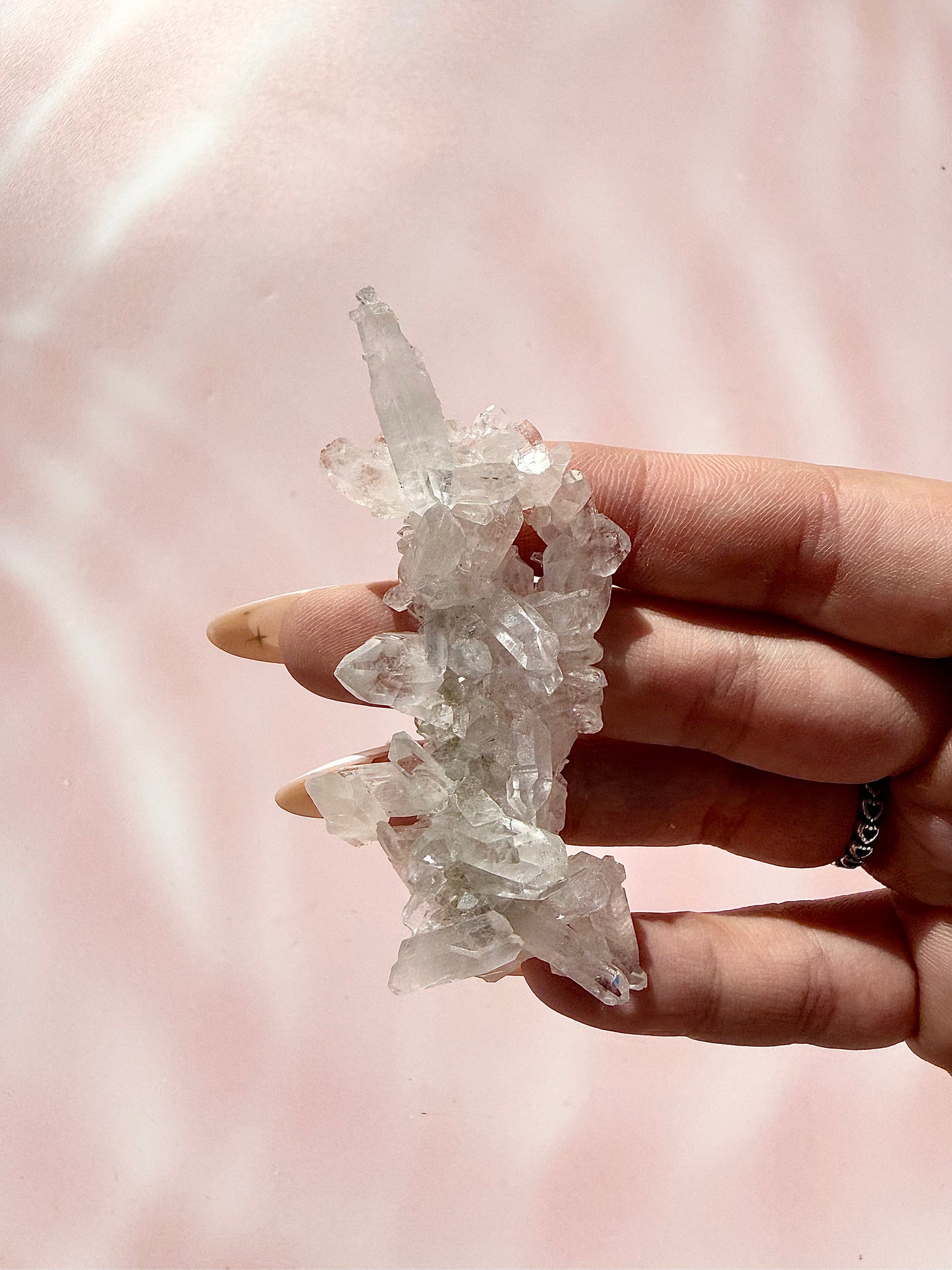✧ CHRYSANTHEMUM CLEAR QUARTZ SPECIMEn ✧