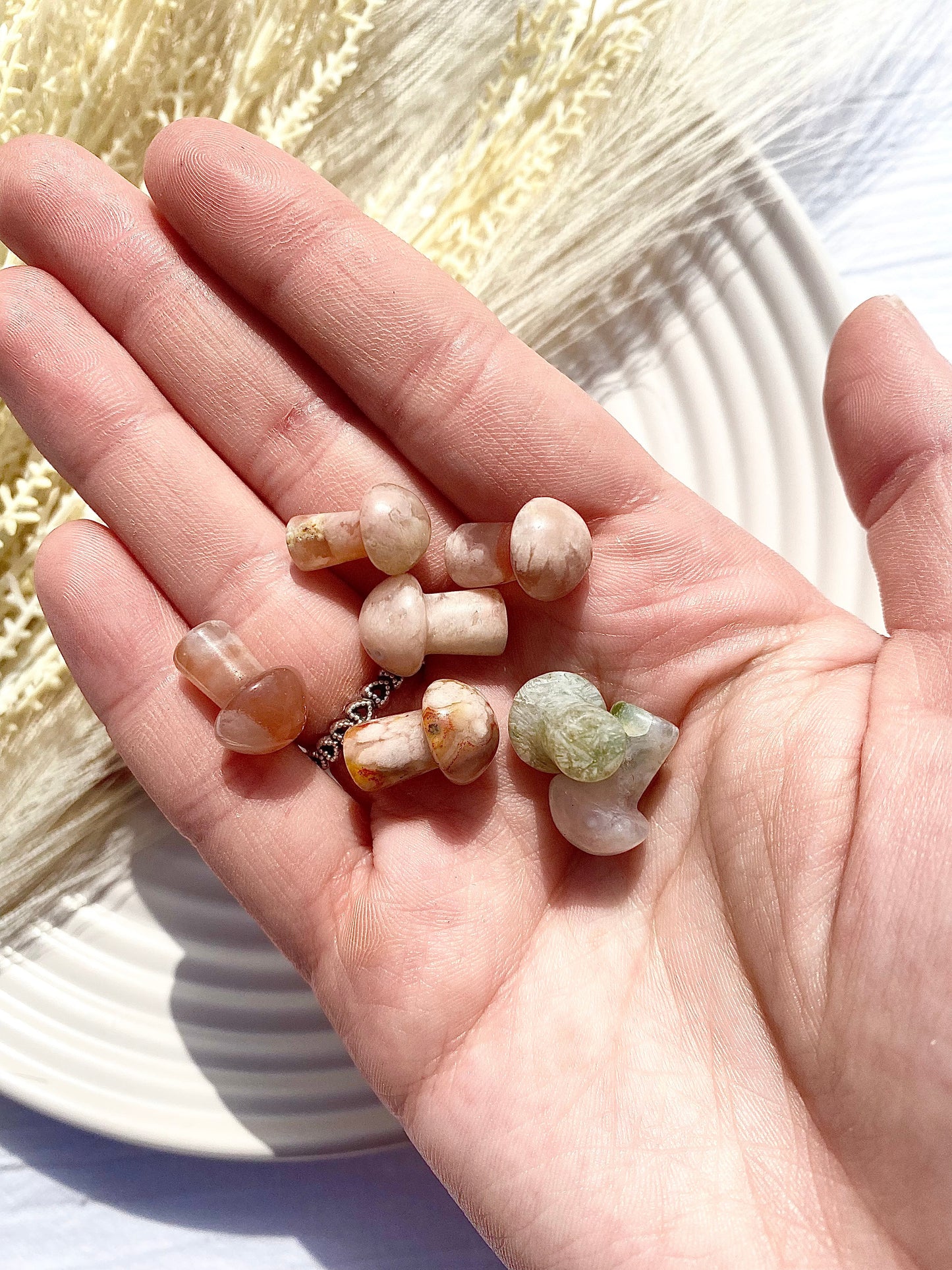 Flower Agate Mushrooms