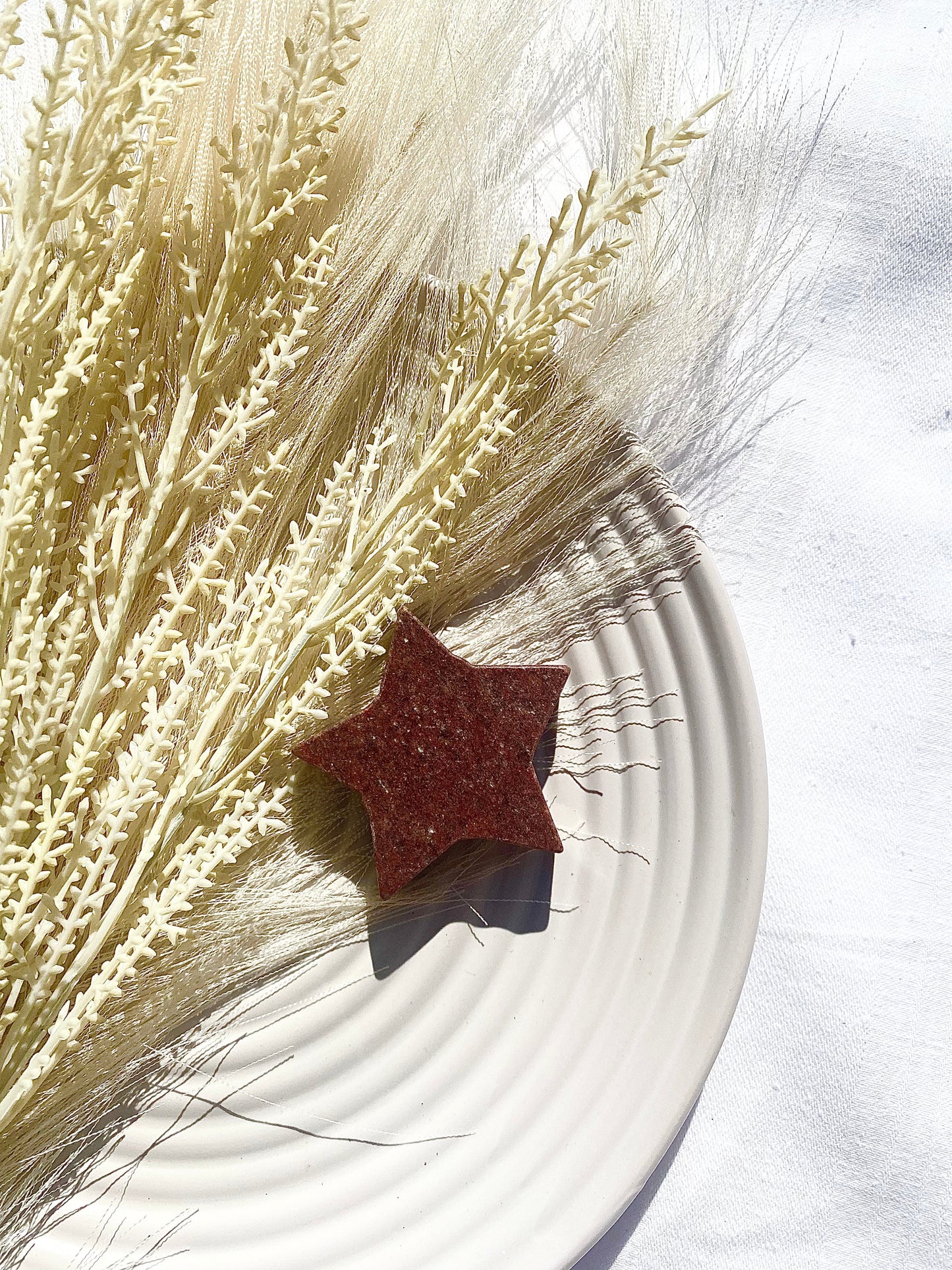 Spotted Red Jasper Star