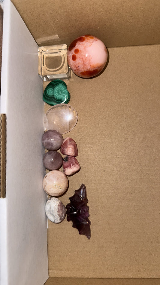 Freja's Live Sale Order