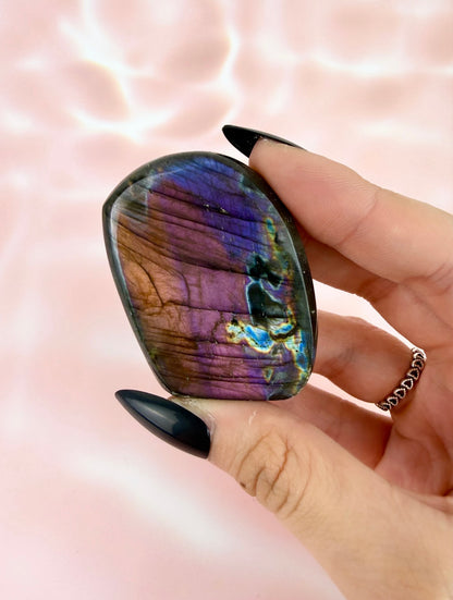 ✧ Rainbow Labradorite Freeforms — Medium ✧