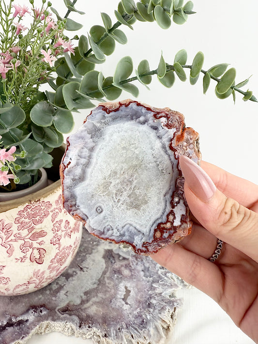 Mexico Agate Slab
