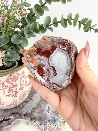 Mexico Agate Slab