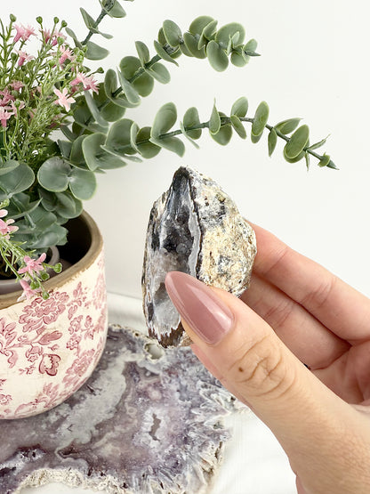 Black Druzy Agate Geode