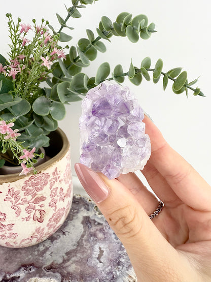 Amethyst Freeforms