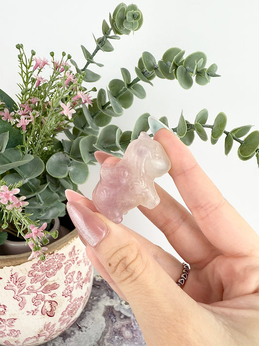 Fluorite Unicorns
