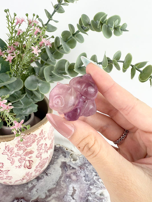 Purple Fluorite Bulbasaur