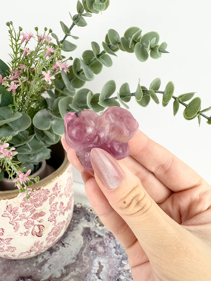 Purple Fluorite Bulbasaur