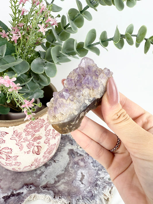 Amethyst Cluster