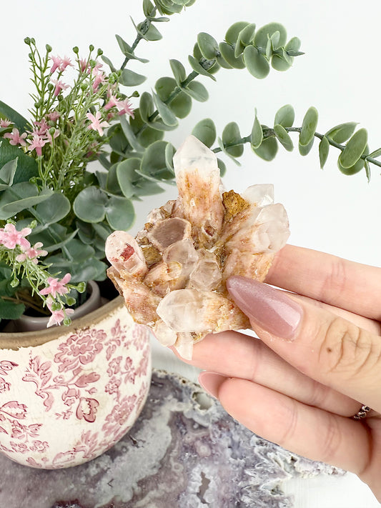Amethyst Specimen Cluster