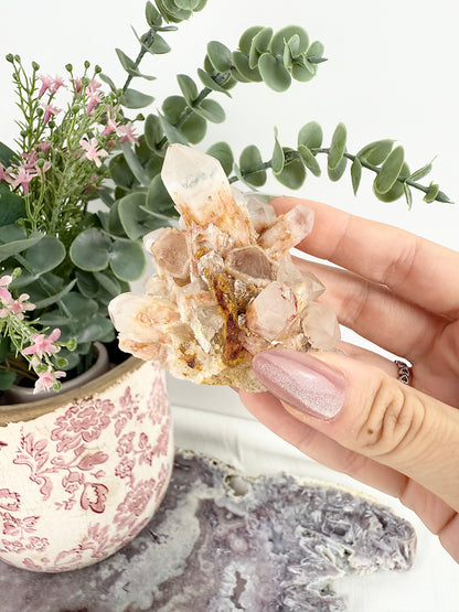 Amethyst Specimen Cluster
