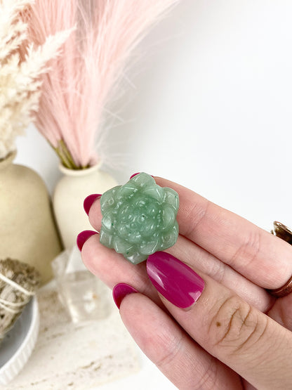 Crystal Succulents