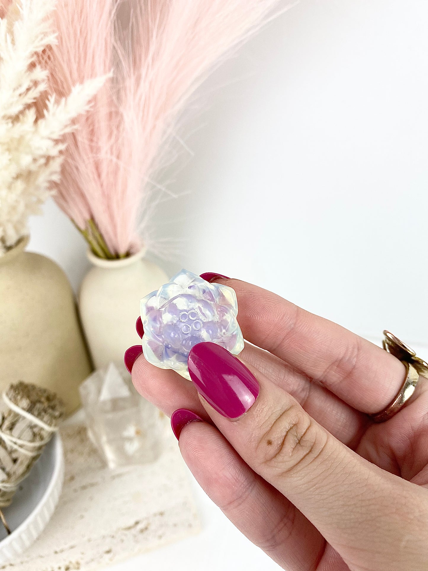 Crystal Succulents