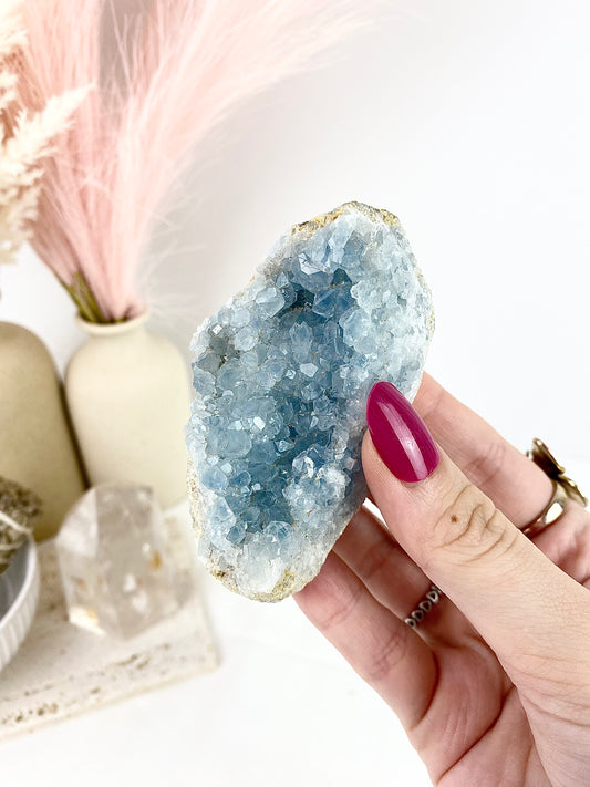 ✧ Celestite Clusters ✧