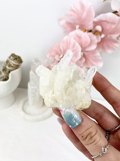 ✧ Chrysanthemum Clear Quartz Specimens ✧