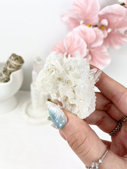 ✧ Chrysanthemum Clear Quartz Specimens ✧