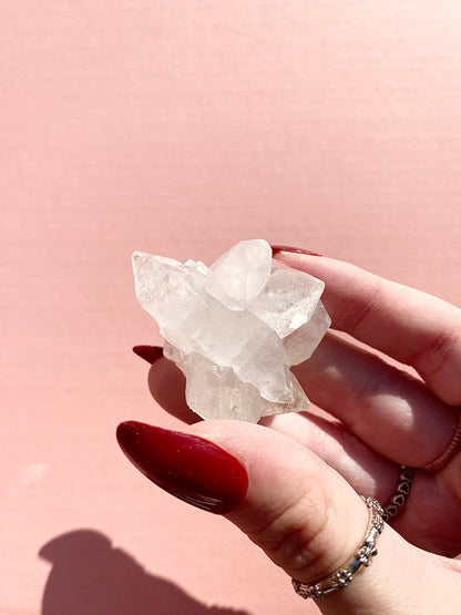 ✧ Apophyllite Specimens ✧