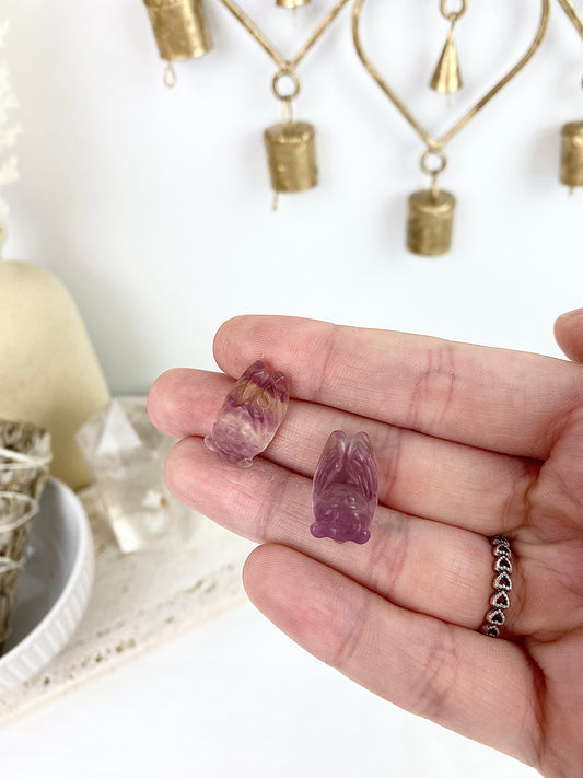 Mini Fluorite Ciadas's