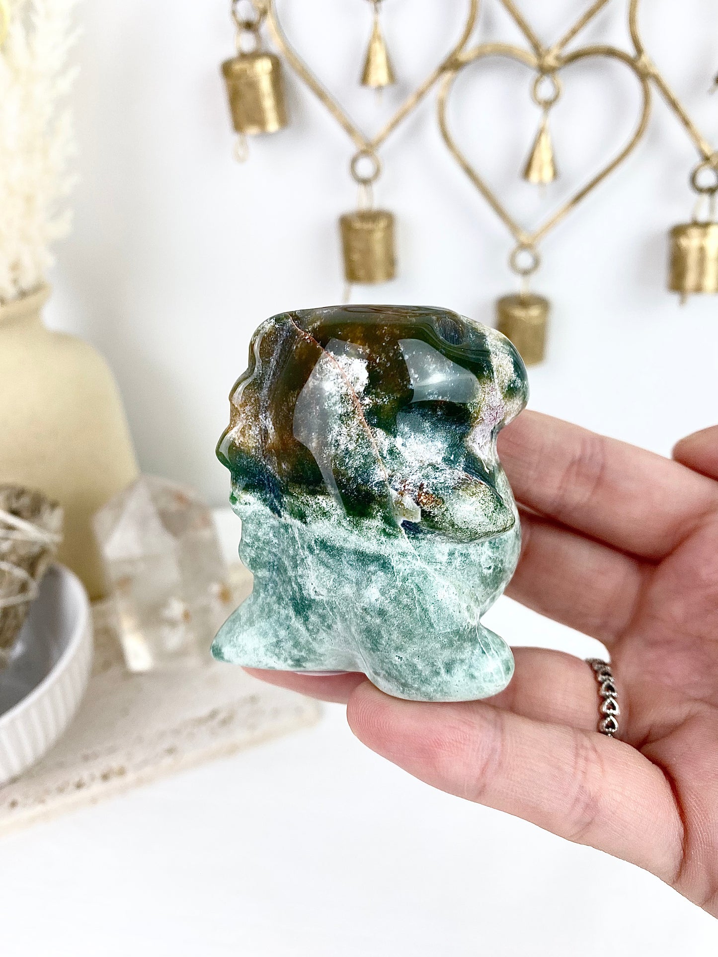 Ocean Jasper Chubby Dinosaur