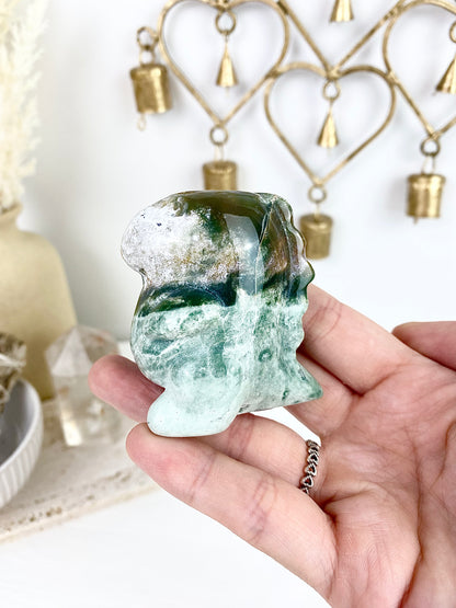 Ocean Jasper Chubby Dinosaur