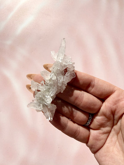 ✧ CHRYSANTHEMUM CLEAR QUARTZ SPECIMEn ✧