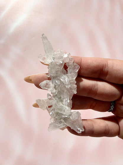 ✧ CHRYSANTHEMUM CLEAR QUARTZ SPECIMEn ✧