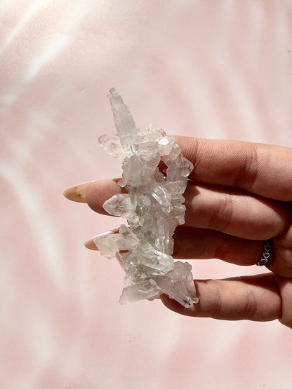 ✧ CHRYSANTHEMUM CLEAR QUARTZ SPECIMEn ✧