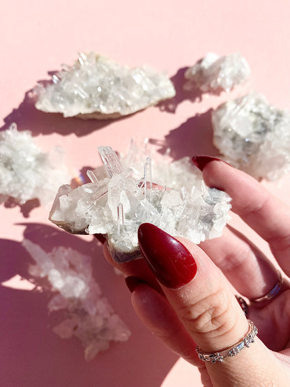 ✧ Chrysanthemum Clear Quartz Specimens from Colombia 🇨🇴 ✧