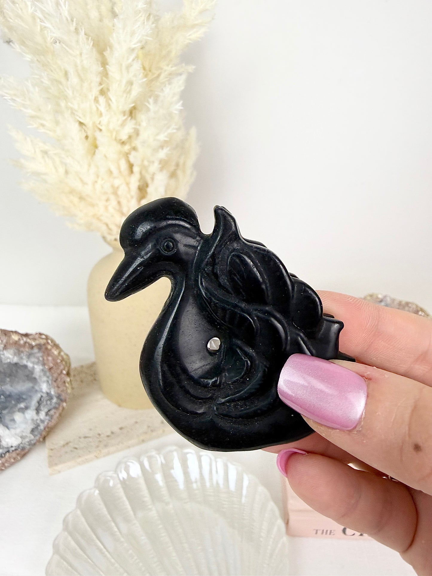 Black Obsidian Swans