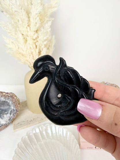 Black Obsidian Swans