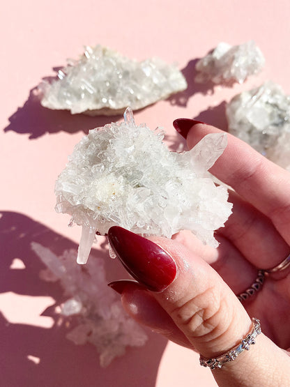 ✧ Chrysanthemum Clear Quartz Specimens from Colombia 🇨🇴 ✧