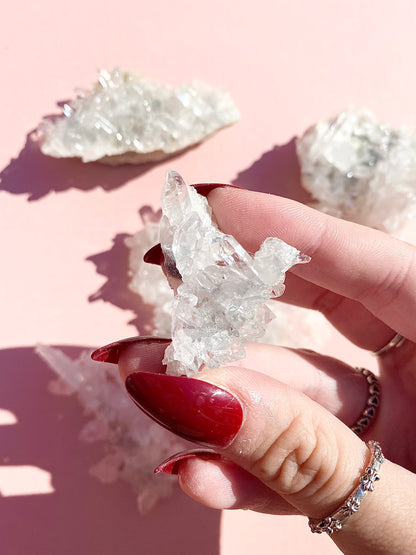 ✧ Chrysanthemum Clear Quartz Specimens from Colombia 🇨🇴 ✧