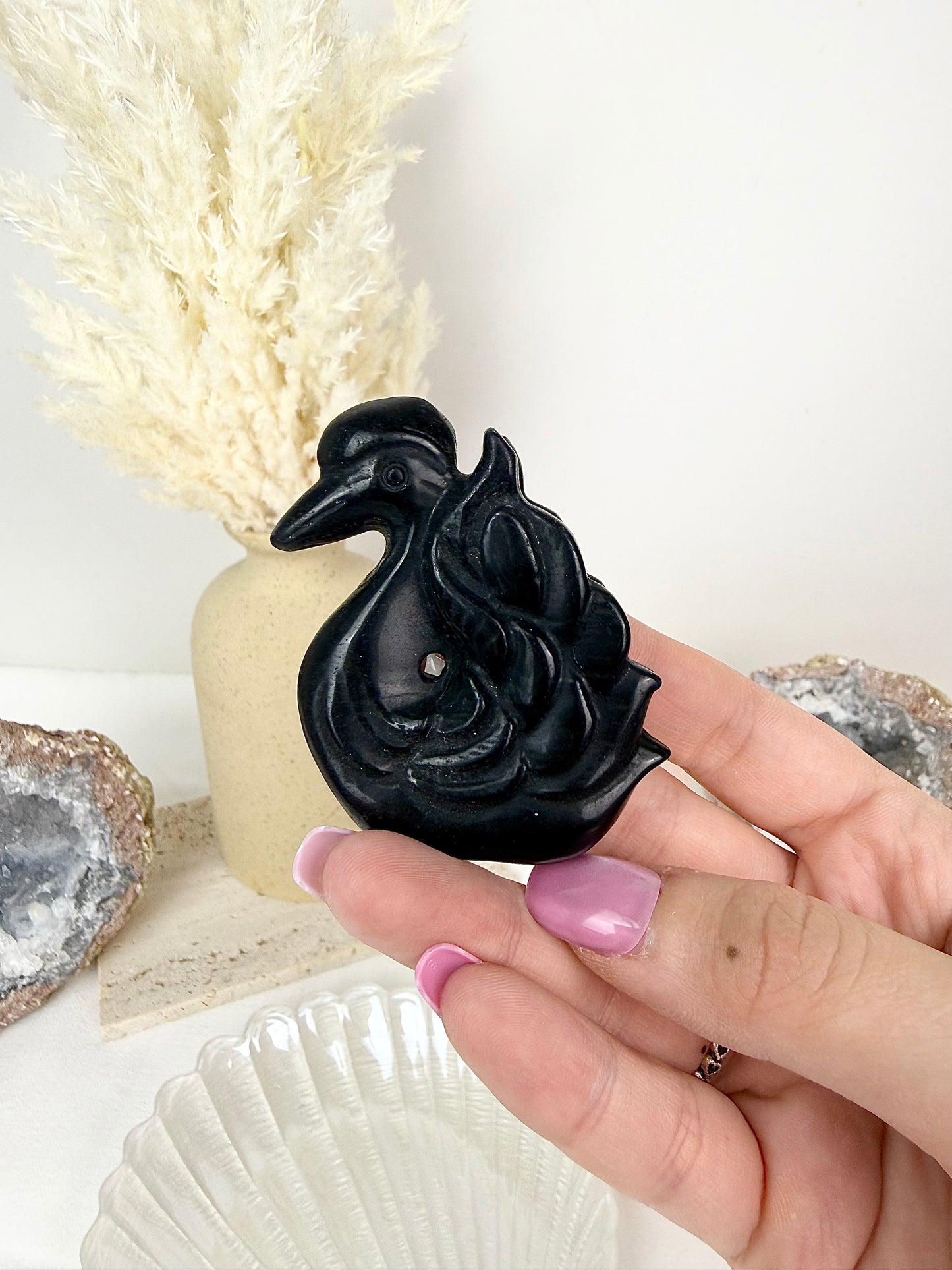 Black Obsidian Swans