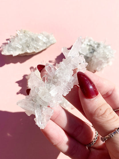 ✧ Chrysanthemum Clear Quartz Specimens from Colombia 🇨🇴 ✧