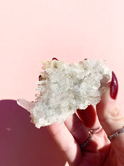 ✧ Chrysanthemum Clear Quartz Specimens from Colombia 🇨🇴 ✧