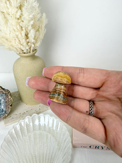 Pink Banded Calcite & Yellow Jasper Star + Mushroom Bundle