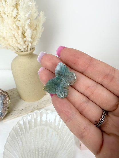 Ocean Jasper Butterfly