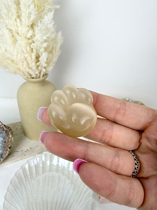 Yellow Catseye Cat Paw