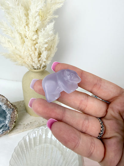 Purple Catseye Bear