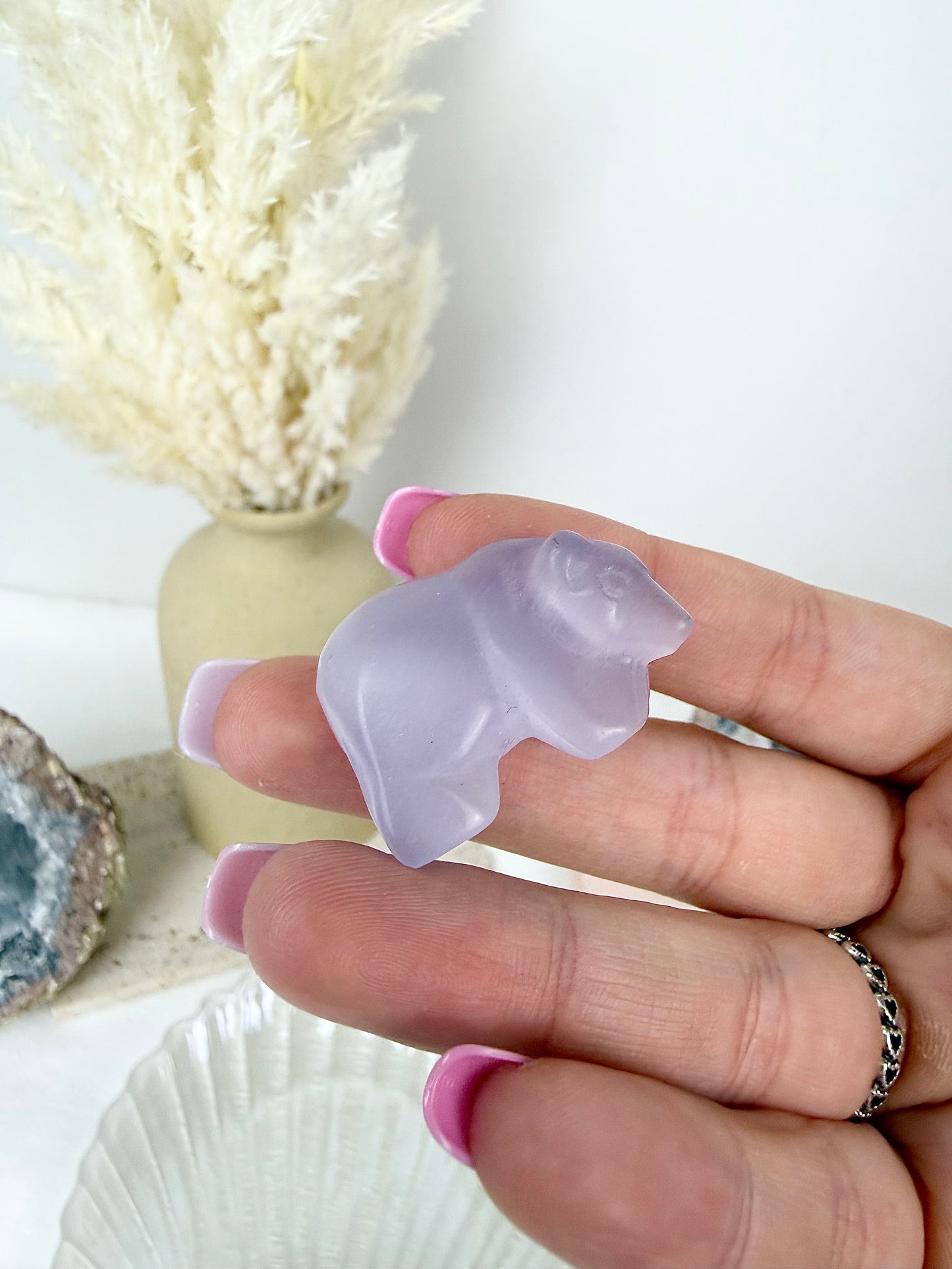 Purple Catseye Bear