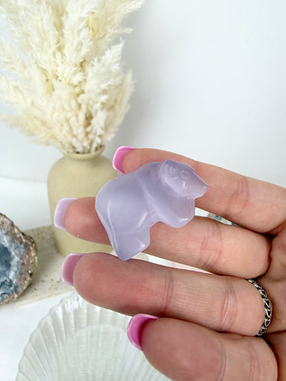 Purple Catseye Bear