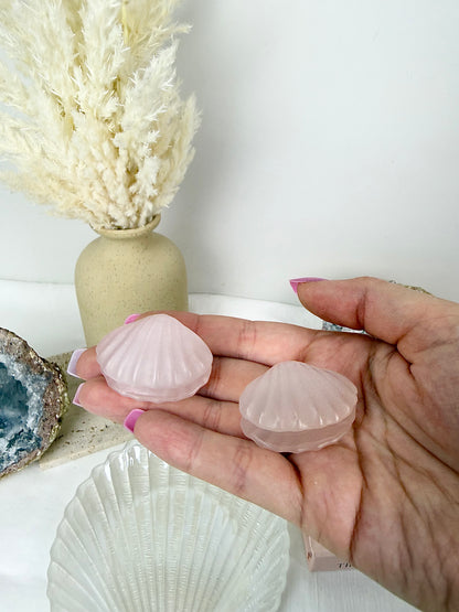 Pink Catseye Clams