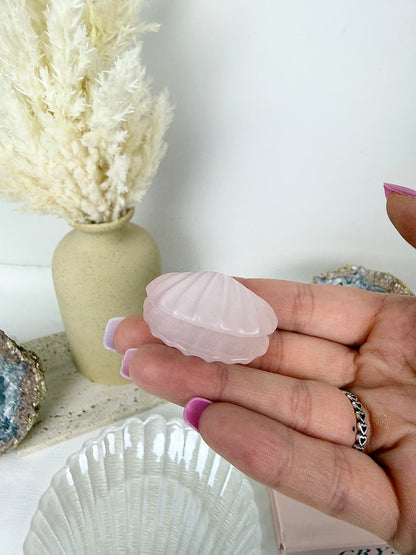 Pink Catseye Clams