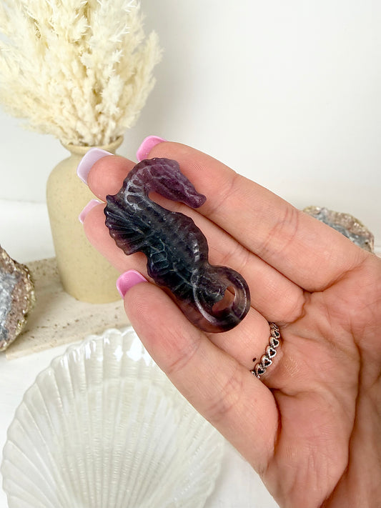 Purple Fluorite Seahorse