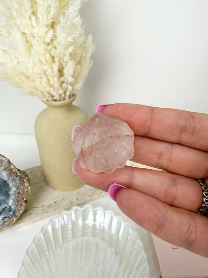 Fire Quartz Clam