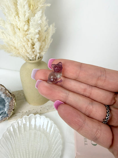 Fluorite Cat