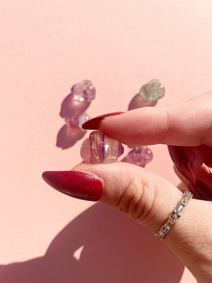 ✿ Mini Fluorite Bunnies ✿