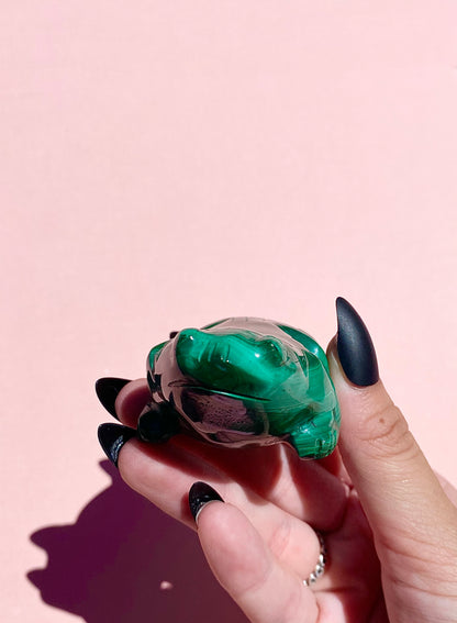 Malachite Frog