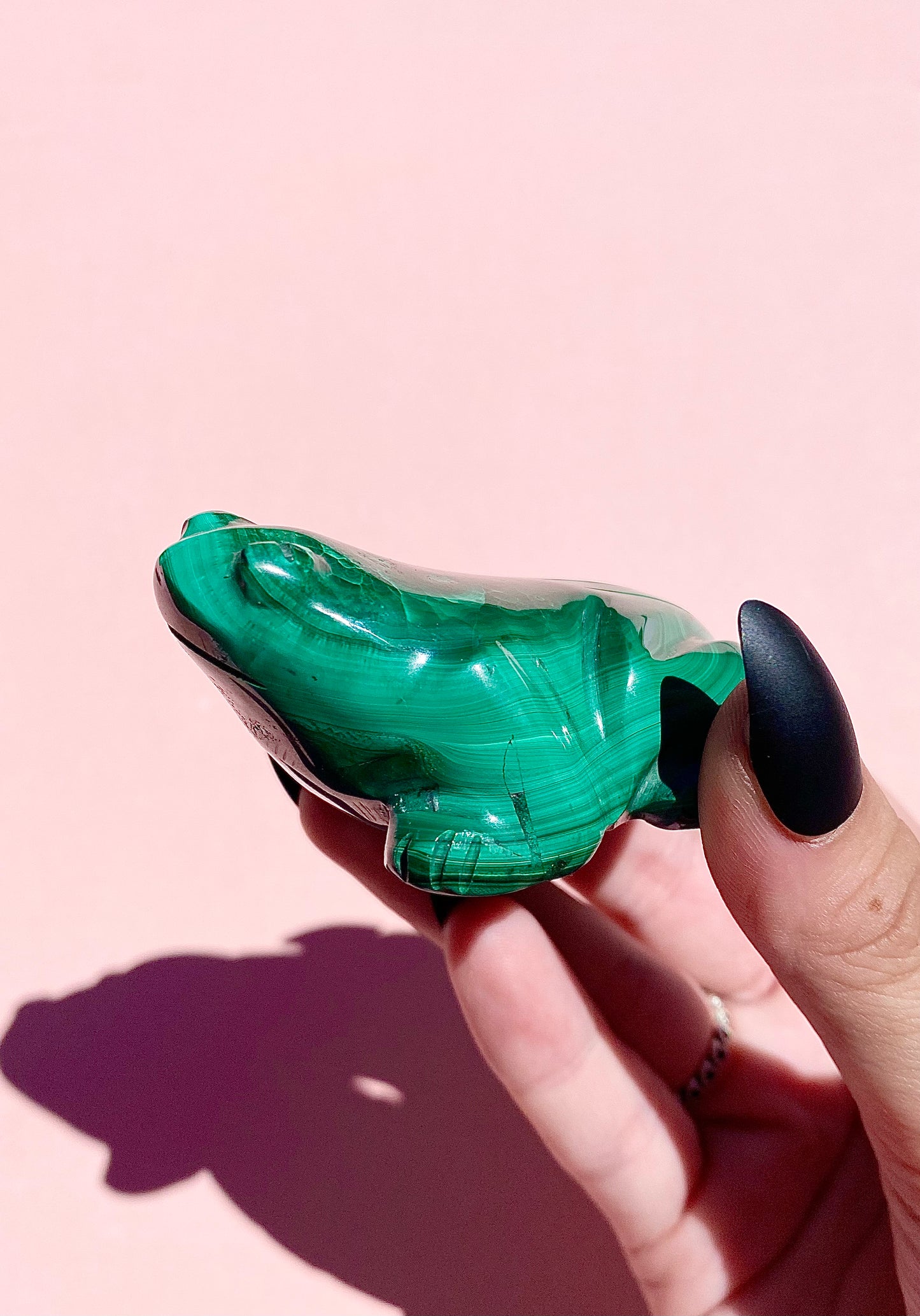 Malachite Frog